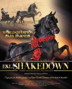 EKL Shakedown GCH