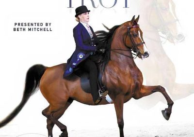 VDM Hot To Trot, by Leonardo's Cry CH