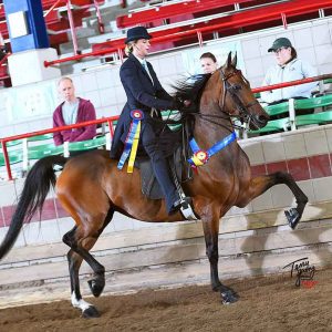 Greysen Fors and MFY All Flared Up