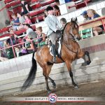 DBS I'm Addicted hunter