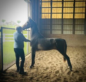 tell-it-like-it-is-2