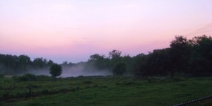 ScottfieldintheMorning 