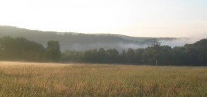 ScottfieldintheMorning2 